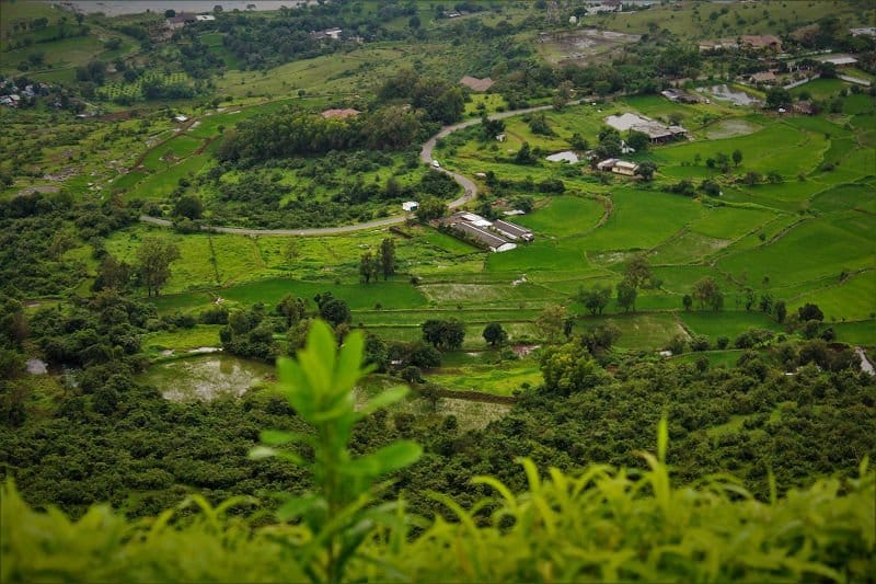 pawna lake agriculture